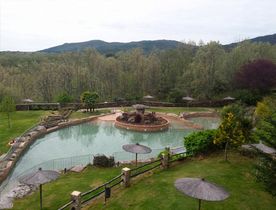 Teimsa balsa en jardín