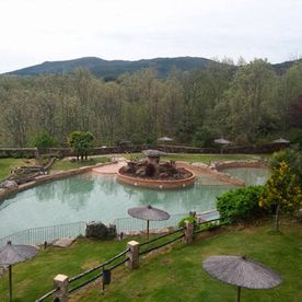 Teimsa balsa en jardín